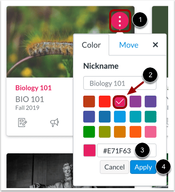 Canvas course-card options dialog with preset colors and a hexadecimal color field