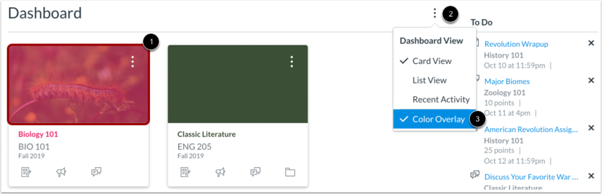 Canvas Dashboard options menu showing the Color Overlay setting enabled